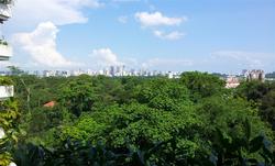 The Arcadia (D11), Condominium #138962332